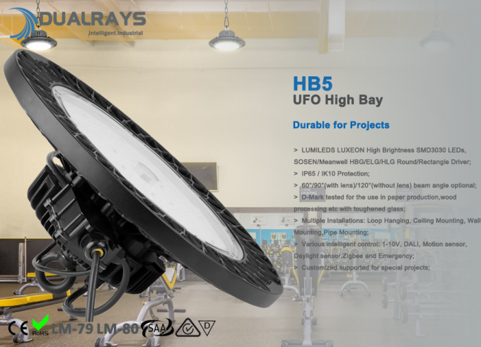 140LPW hohes Leistungsfähigkeit 100W HB5 hohes Bucht-Licht IP65 UFO LED 5 Jahre Garantie-