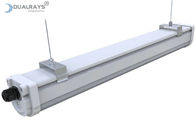 Dualrays D2 des Reihen-50W LED industrielle Tri Mikrowellen-Sensor-volle Plastikwohnung Beweis-Licht-5ft für Ausstellungs-Mitte
