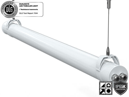 IP69K IP66 TB7 Super-LED-Rohrlicht mit DIP-Schaltleistung/3CCT/3-Phase 160LPW Wirkungsgrad