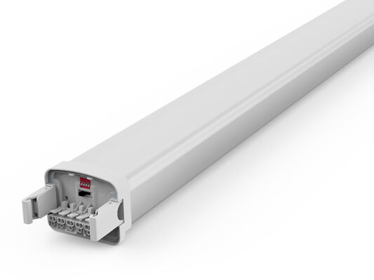 DUALRAYS D5 LED Feuchtraumleuchte mit DIP-Schalter für Leistung/3CCT 160LPW Effizienz