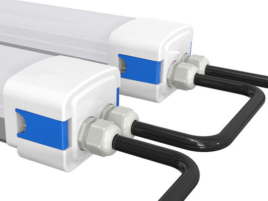 DUALRAYS D5 LED Feuchtraumleuchte mit DIP-Schalter für Leistung/3CCT 160LPW Effizienz