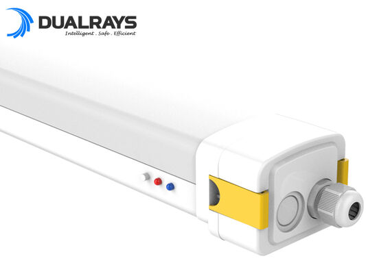 DUALRAYS Europe Stocking LED Highbay Lieferung direkt aus den Niederlanden innerhalb von 3 Werktagen mit lokalen Kundendienst