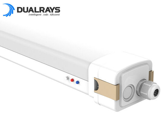 DUALRAYS Europe führt LED-Hallenleuchten direkt aus den Niederlanden innerhalb von 3 Werktagen und mit lokalem Kundendienst