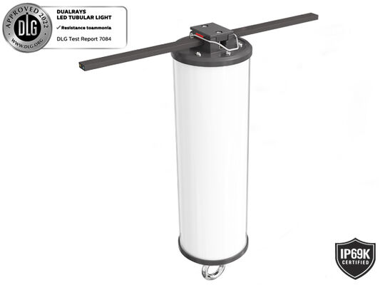 15W LED-Portable Work Light mit IP69K-Schutz und AC/DC24-42V-Betrieb für Marine- und temporäre Anwendungen