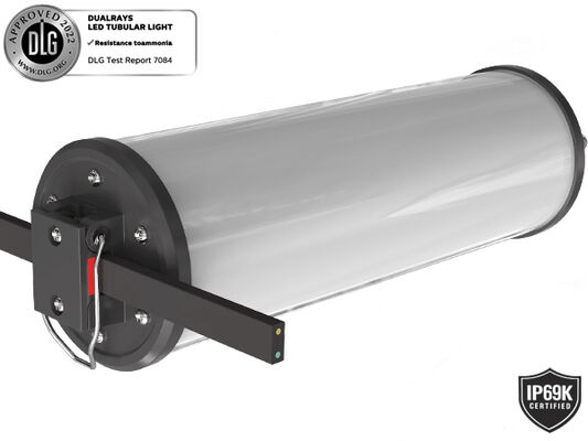 15W LED-Portable Work Light mit IP69K-Schutz und AC/DC24-42V-Betrieb für Marine- und temporäre Anwendungen