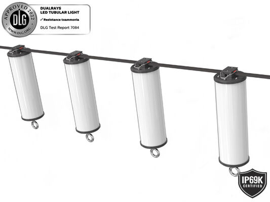 15W LED-Portable-Arbeitslicht mit IP67-Schutz und 5-Jahres-Garantie für Marine und Bau