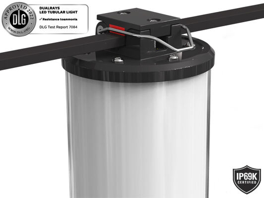 15W IP66/IP69K 140lm/W LED-Tragbare Arbeitsleuchte für Marine- und temporäre Beleuchtung