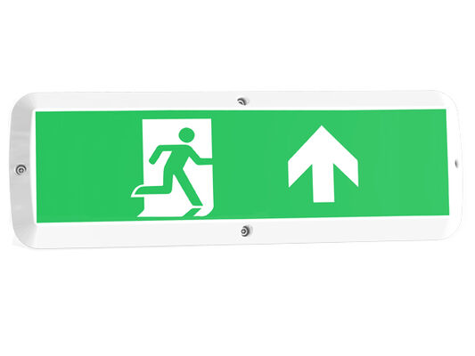 8W Bulk Head LED-Außenleuchte mit Notlichtfunktion und Bewegungsmelder IP65