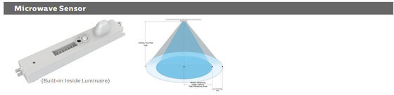 Bulk Head LED-Verandaleuchte 8 W mit 3 CCT und umschaltbarer Stromversorgung
