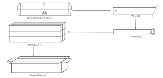 Bulk Head LED-Verandaleuchte 8 W mit 3 CCT und umschaltbarer Stromversorgung