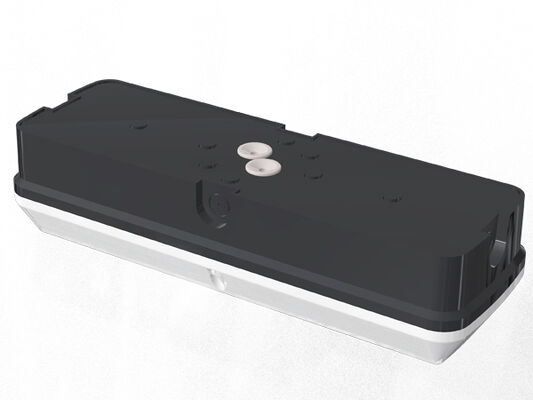 Bulk Head LED-Verandaleuchte 8 W mit 3 CCT und umschaltbarer Stromversorgung