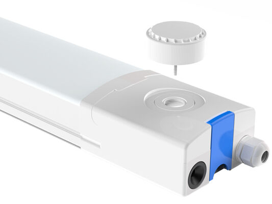 D4 LED-Feuchtigkeitsschutzlampe 160 LPW mit Ready 4 Emergency und 3*1,5/2,5 mm2 oder 5*1,5/2,5 mm2 Kabel durch 3-Phasen-wählbares Design machen die verbindbare Verbindung leistungsfähiger und widerstandsfähiger