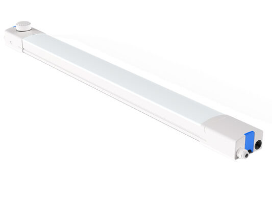 D4 LED-Feuchtigkeitsschutzlampe 160LPW mit Ready 4 Emergency 4W@3HRS Plug-and-Play mit DIP-Schalter-Stromversorgung und CCT, bedeutet 1SKU=48 SKU, freundlich für Lagerhaltung und Cashflow-Optimierung