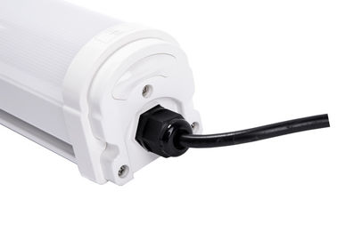 wasserdichtes geführtes Tri Beweislicht 20W 2FT vorbei angenommen