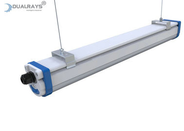 Dualrays D2 der Reihen-40W LED Tri Zerfall Beweis-Lampen-IP66 Ik10 4ft des Restlicht-160lmw 5 Jahre Garantie-