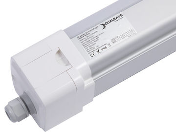 Leistung in Watt Dualrays D5 Reihen-60 4 Fuß LED Tri des Beweis-Licht-50000 Lebensdauer-mit fünf Jahren der Garantie-IP66